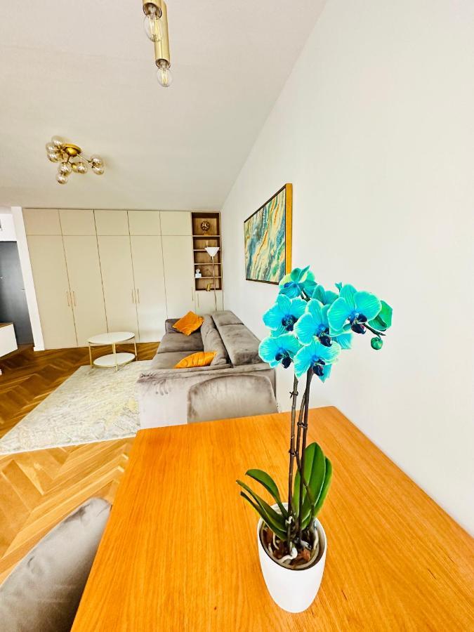 קלוז'-נאפוקה Bel Dom - The Central, Spacious 2 Rooms Luxury Apartment מראה חיצוני תמונה