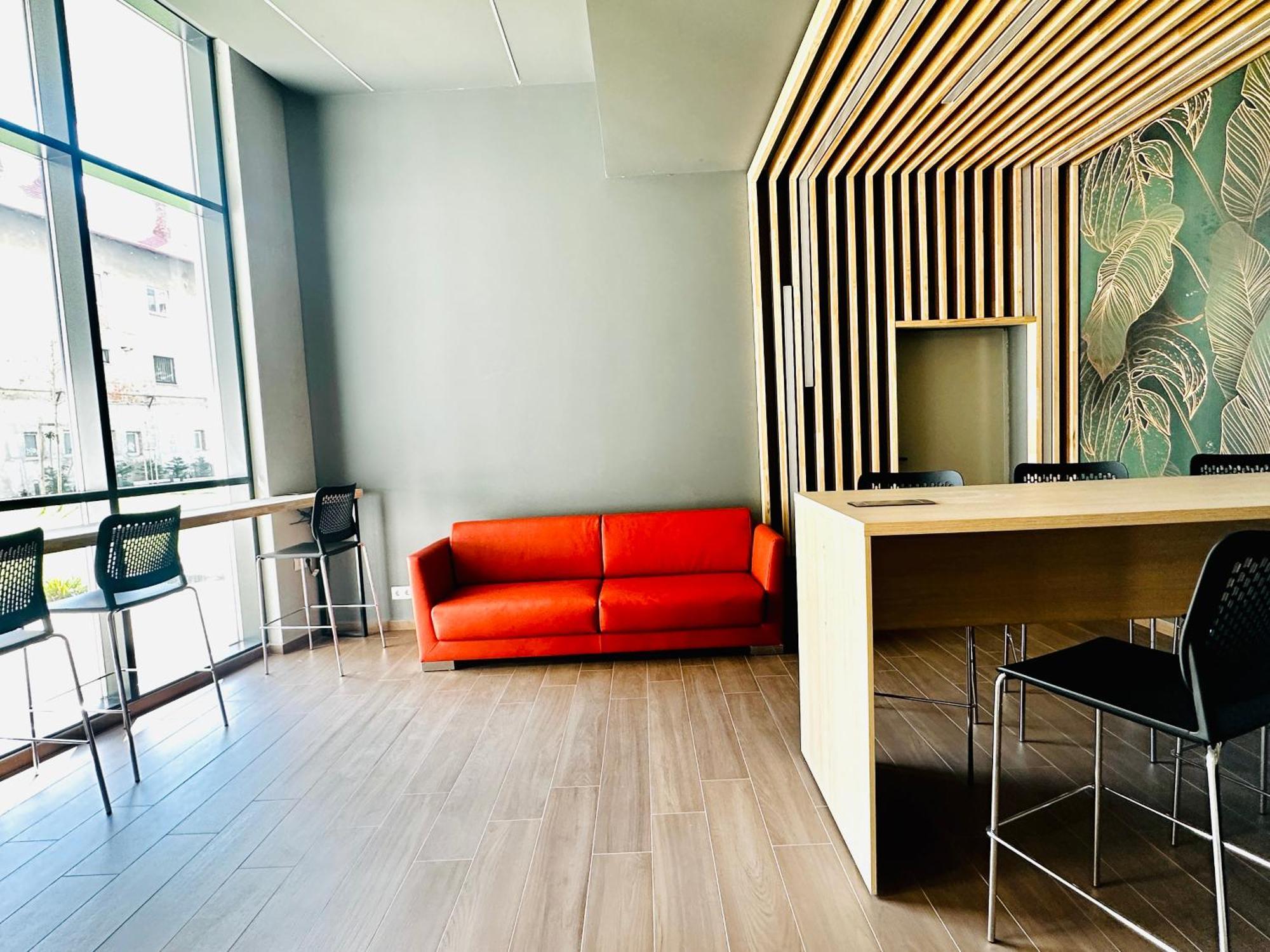 קלוז'-נאפוקה Bel Dom - The Central, Spacious 2 Rooms Luxury Apartment מראה חיצוני תמונה